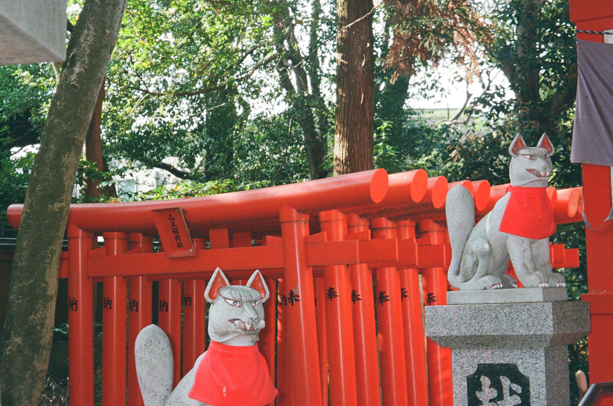 Nagoya: Japan’s “Most Boring City” Might Just Be One of Its Best-Kept Secrets