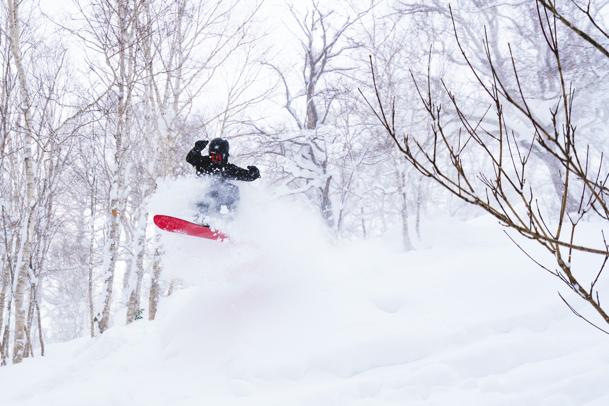 Unlocking Niseko: Insider Secrets to Japan’s Best Ski Destination