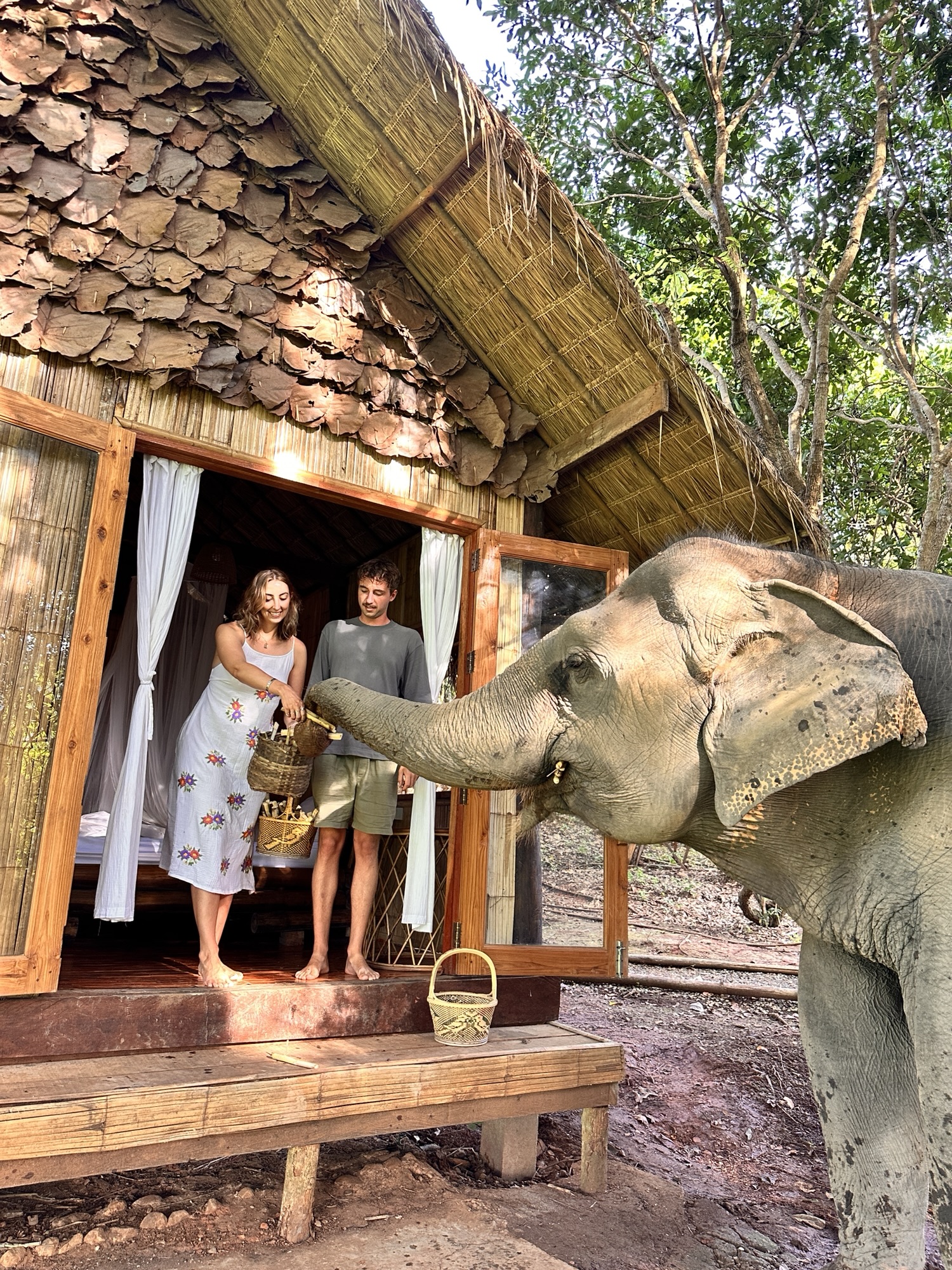 Chai Lai Orchid Eco Lodge: An Ethical Elephant Sanctuary Near Chiang Mai